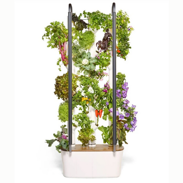 The Gardyn Hydroponic Indoor Tower Garden